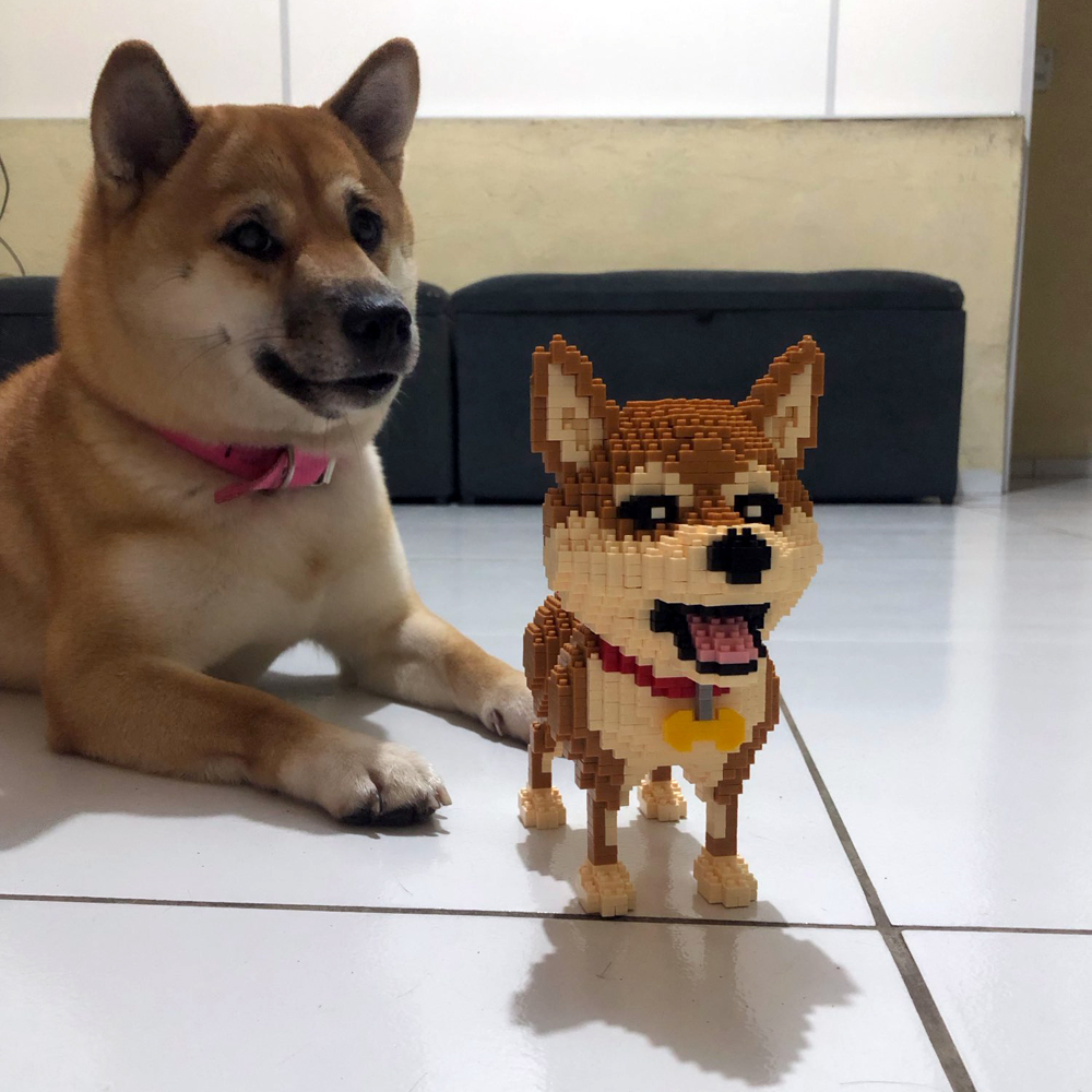 BİLİYORUM Shiba Inu Köpekler M - Kids Education And Recreation incelemesi ve fiyatı
