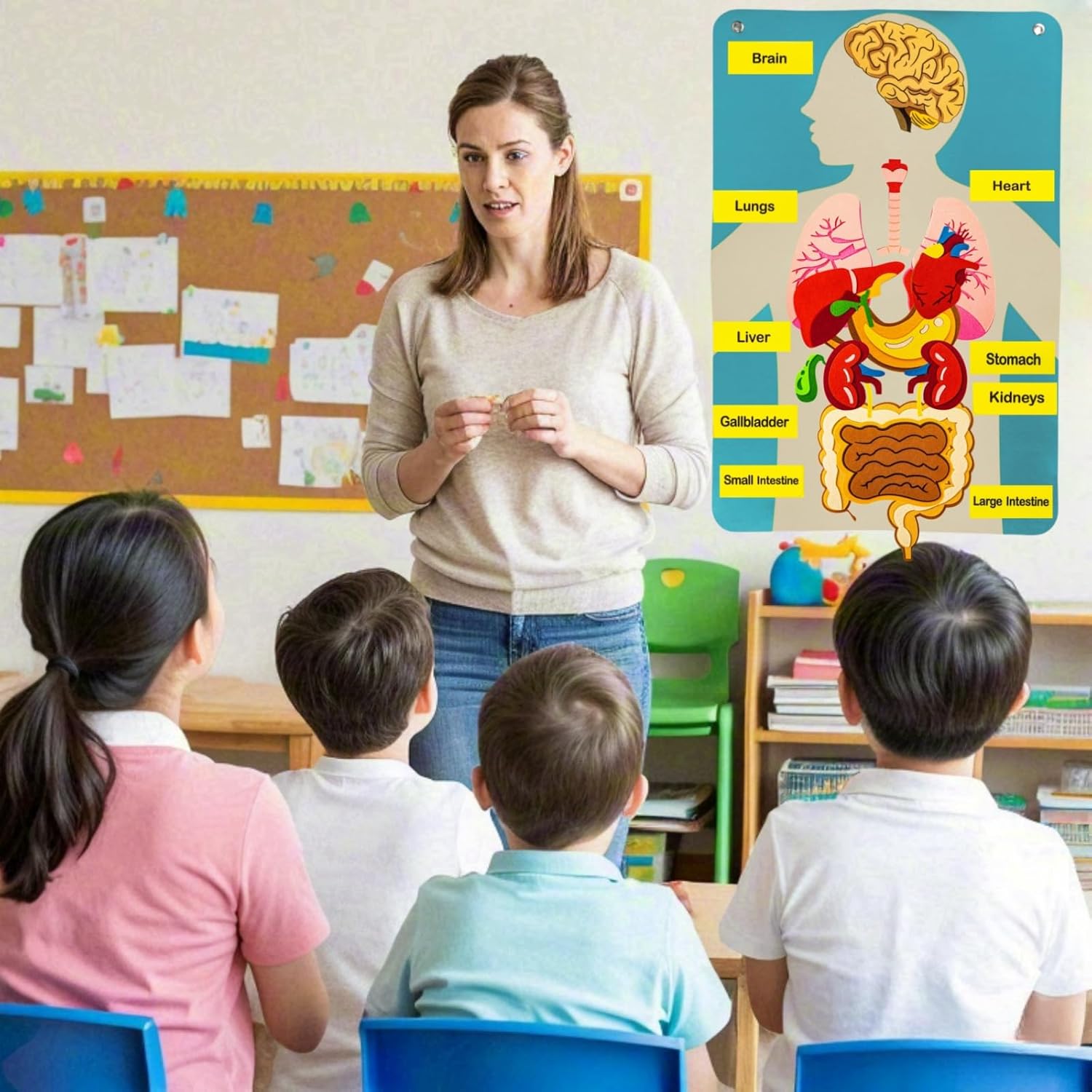 İnsan Vücudu Parçaları Keçe Ta - Kids Education Story incelemesi ve fiyatı