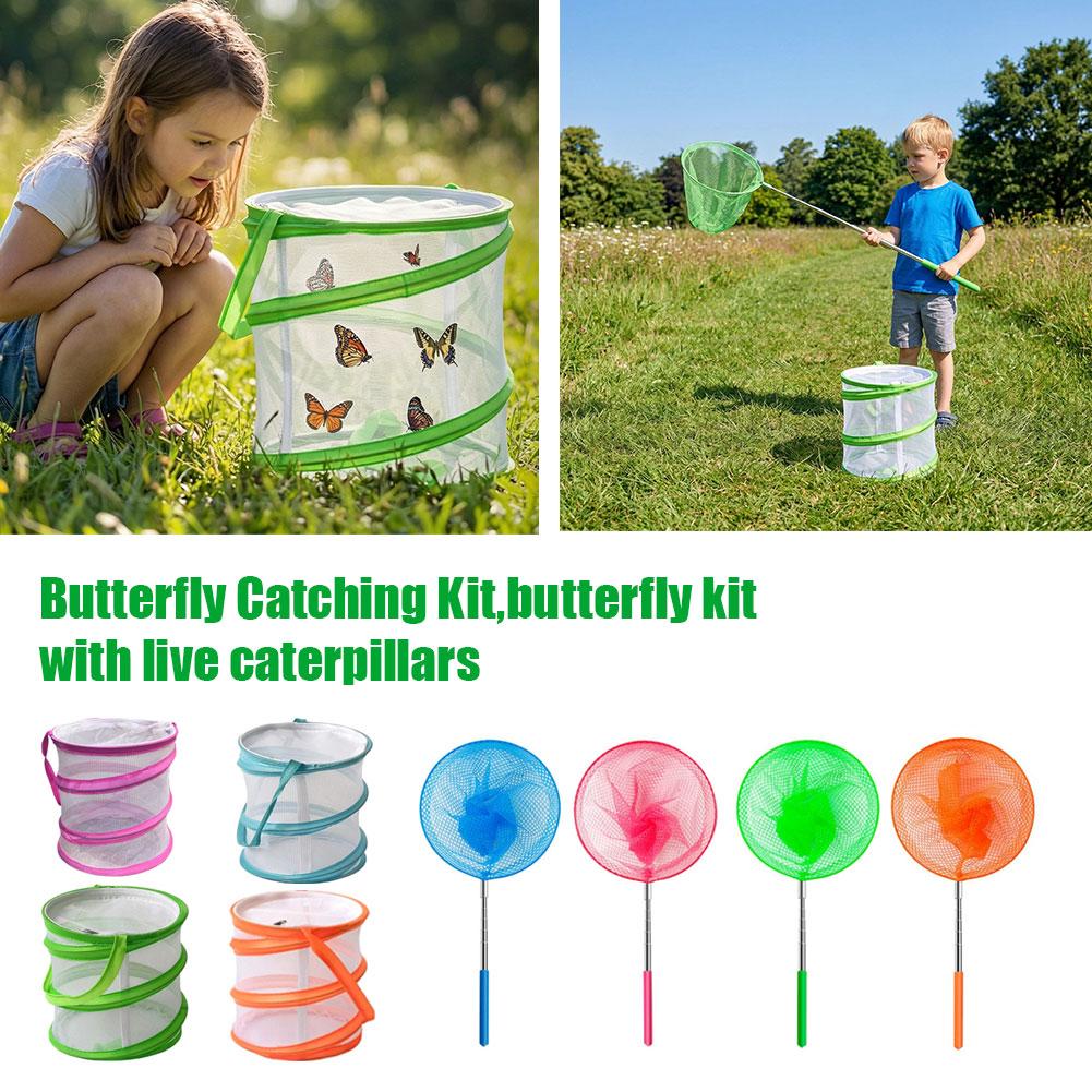 Çocuklar için Kelebek Yakalama - Kids Outdoor Education incelemesi ve fiyatı